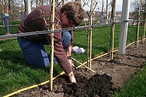 Eine Mitarbeiterin des IMMS ist damit beschäftigt Bodenfeuchtesensoren im Boden einzubringen. Foto: IMMS GmbH.