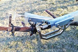 Knospendendrometer an einem mit Raureif überzogenen Obstbaum.