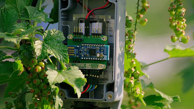 Video unter www.digitalisierung-landwirtschaft.de