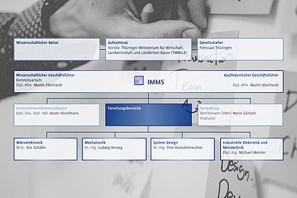 Organisationsplan des IMMS. Foto: Kvalifik, Unsplash.