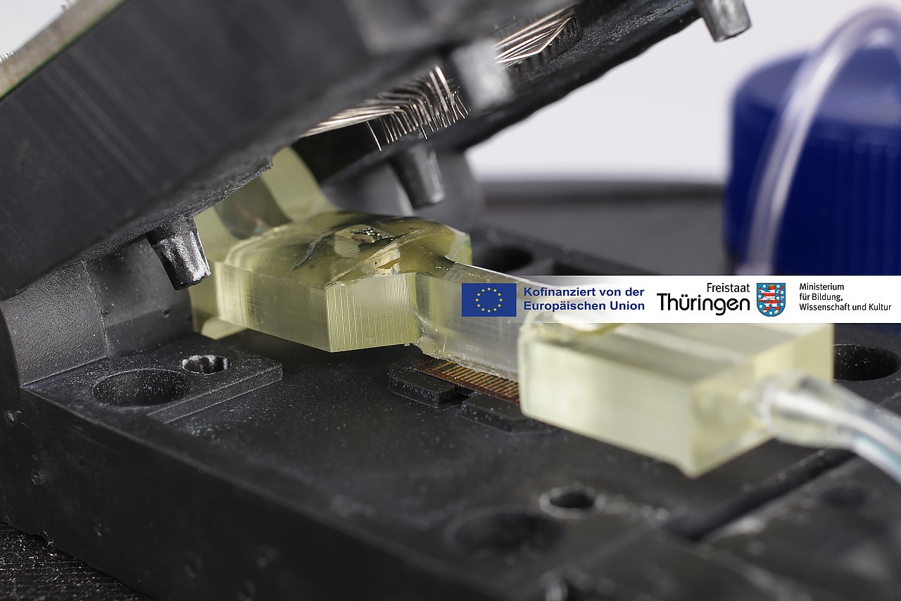 Untersuchungsaufbau mit Klappfassung, darin der GraFET-Chip, darüber eine mikrofluidische Flusszelle und darüber die Kontaktiernadeln für den Chip.