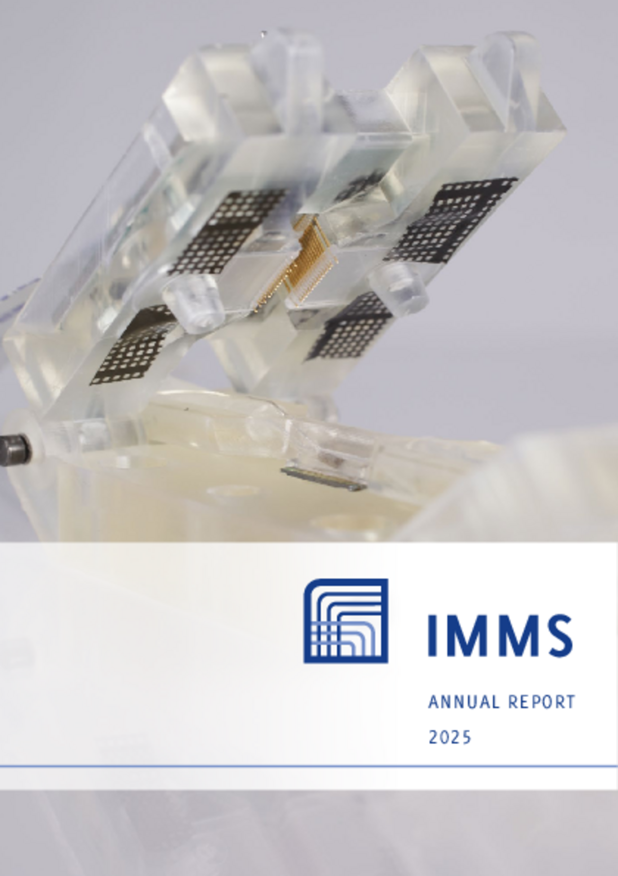 Annual Report 2025