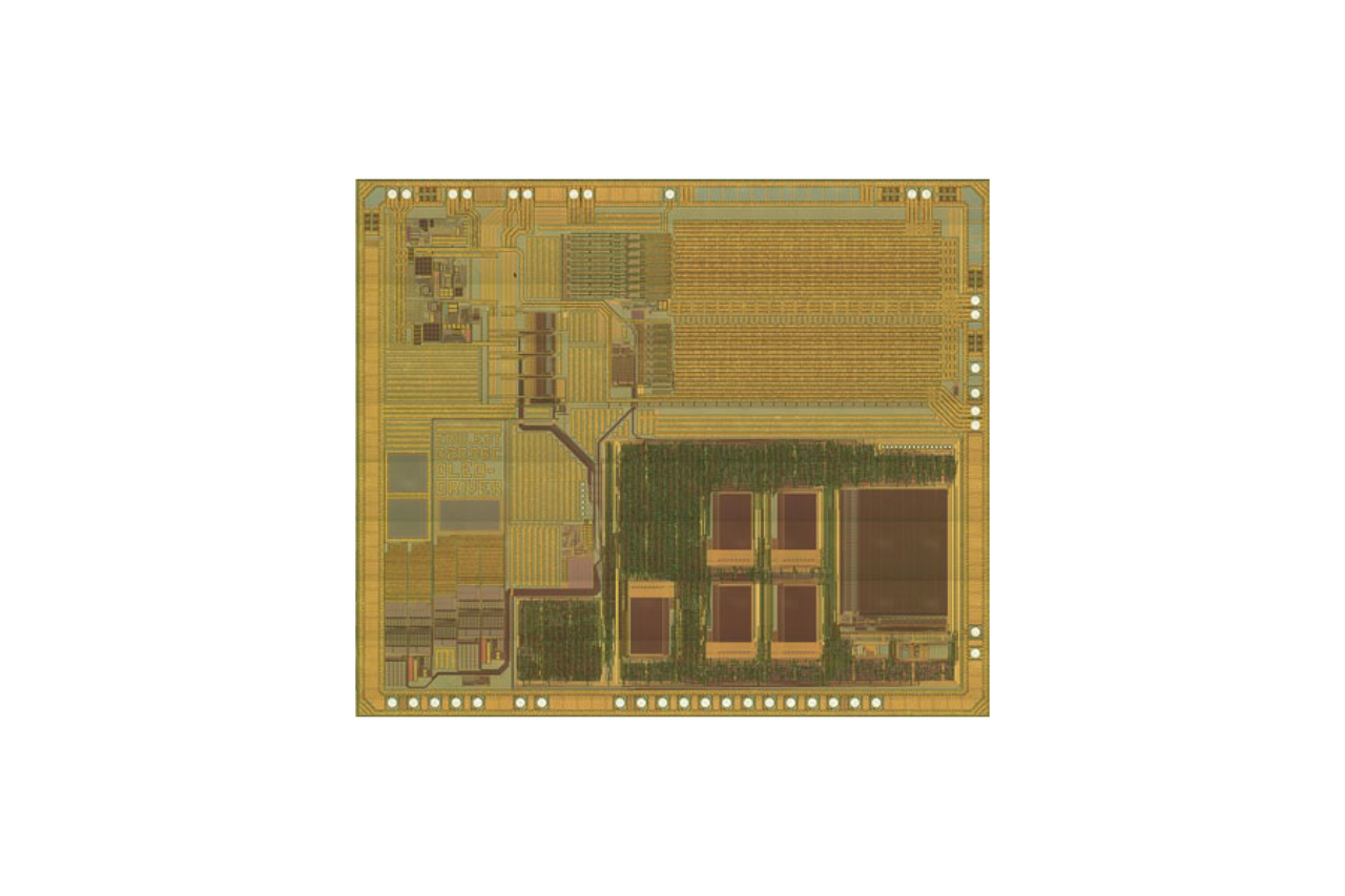 Photograph of the OLED driving circuit D2036C on chip. Photograph: IMMS.