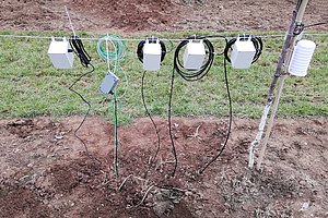 Five boxes suspended from a wire rope, from which cables lead into the ground to buried soil moisture sensors.