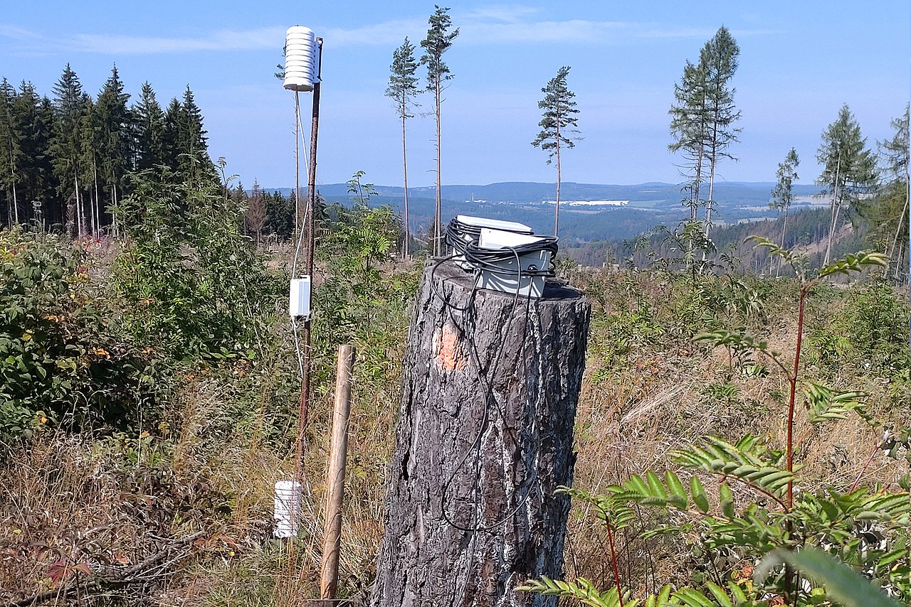 Forest clearing in the Thuringian Forest with a tree stump and a tree stake with environmental sensors in the foreground. 