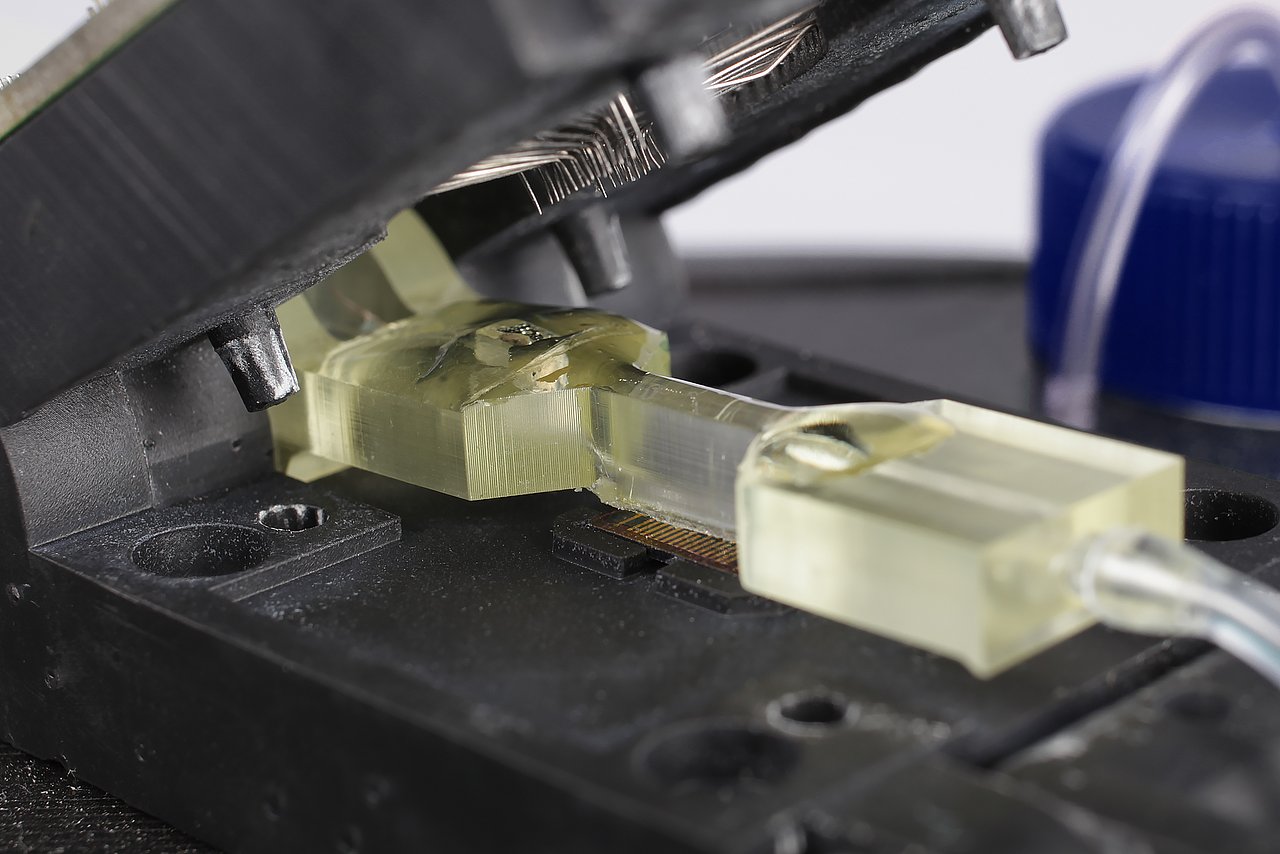Untersuchungsaufbau mit Klappfassung, darin der GraFET-Chip, darüber eine mikrofluidische Flusszelle und darüber die Kontaktiernadeln für den Chip.