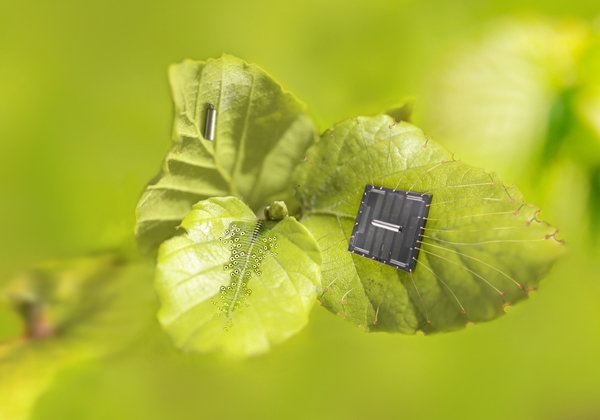 We connect IT to the real world. Photograph: IMMS.