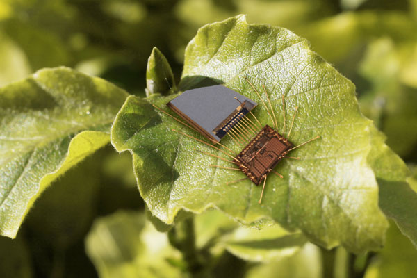 We connect IT to the real world. Photograph: IMMS.
